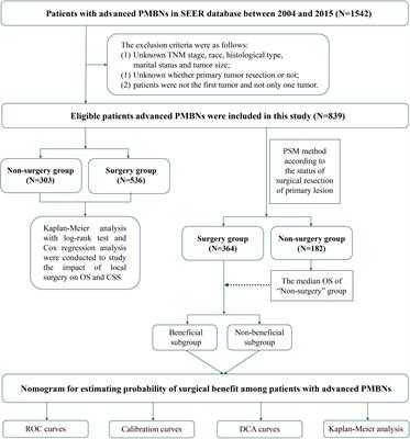 Clinical characteristic–assisted surgical benefit stratification for resection of primary tumor in patients with advanced primary malignant bone neoplasms: a population-based propensity score–matched analysis